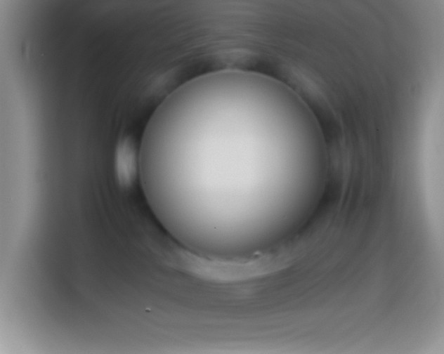 X0000113910042200910011457