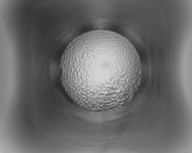 X0000113910043200910011457