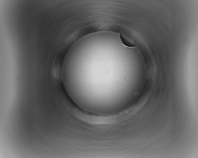 X0000113910044200910011457