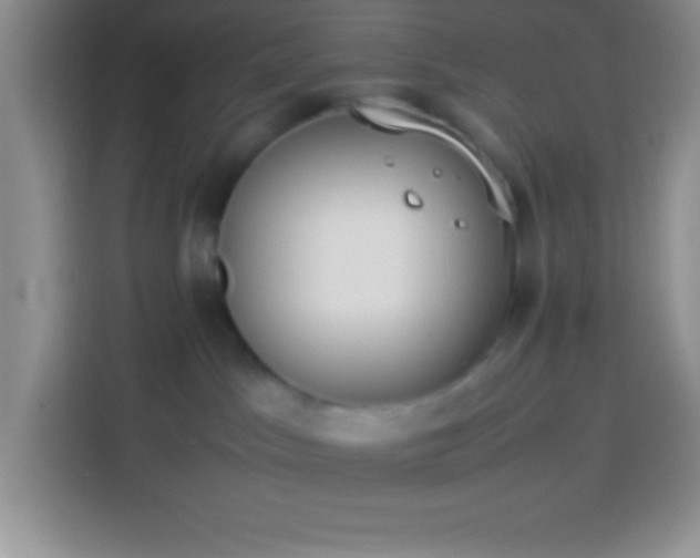 X0000113910045200910011457