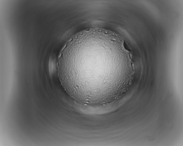 X0000113910046200910011457