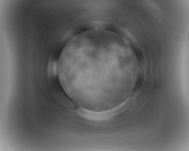 X0000113910047200910011457