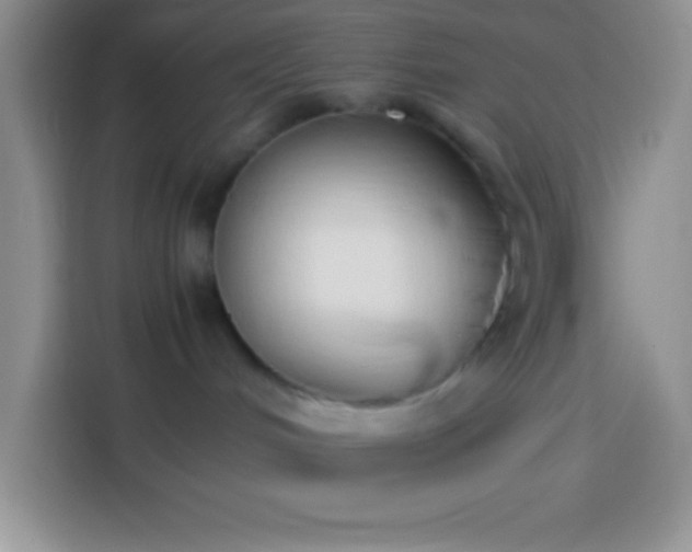 X0000113910048200910011457