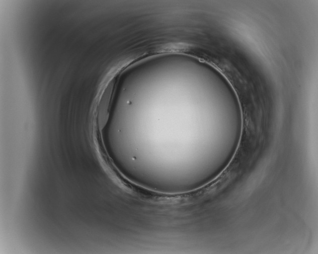 X0000113910049200910011457