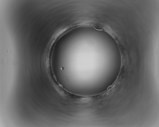 X0000113910050200910011457