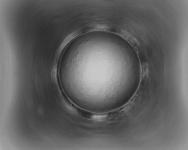 X0000113910051200910011457