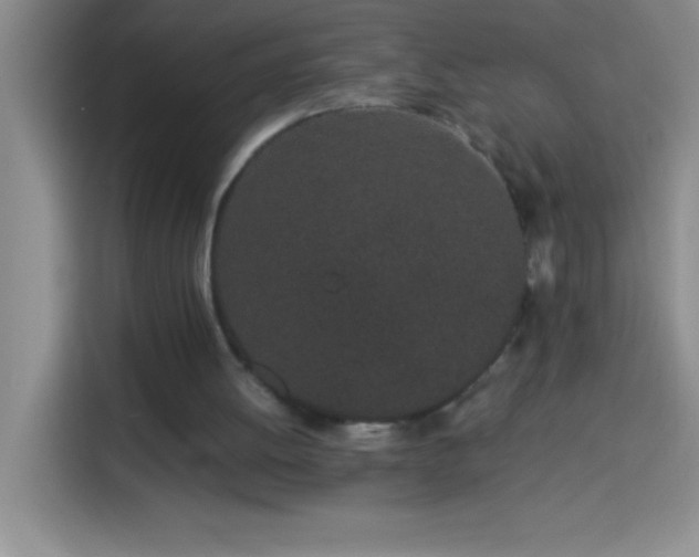 X0000113910052200910011457