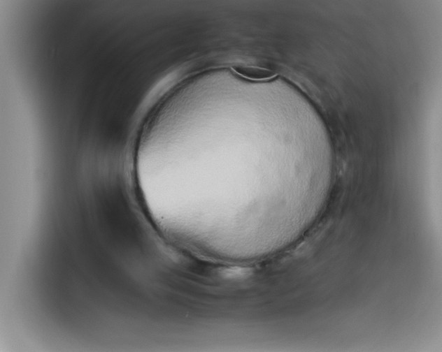 X0000113910053200910011457