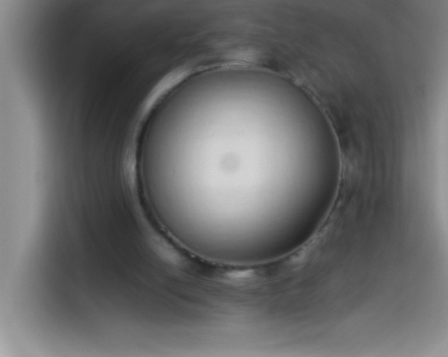 X0000113910054200910011457