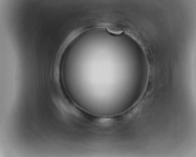 X0000113910055200910011457