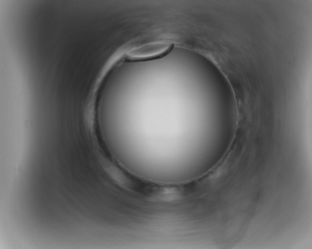 X0000113910056200910011457