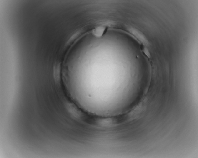 X0000113910058200910011457