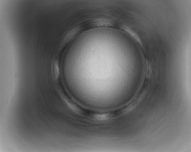 X0000113910061200910011457