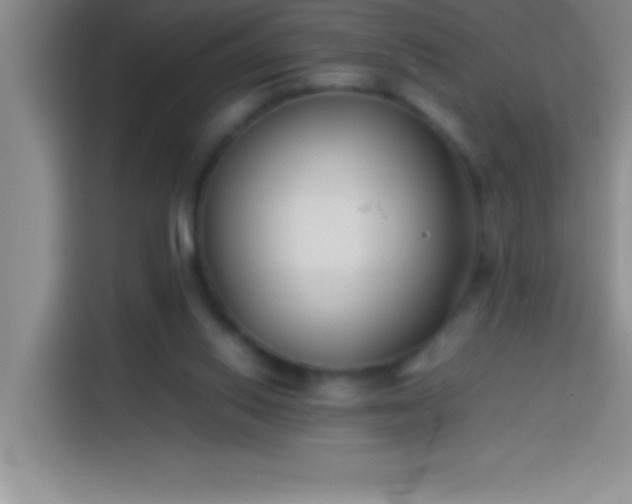 X0000113910062200910011457