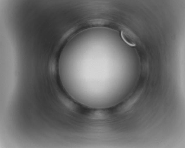 X0000113910064200910011457