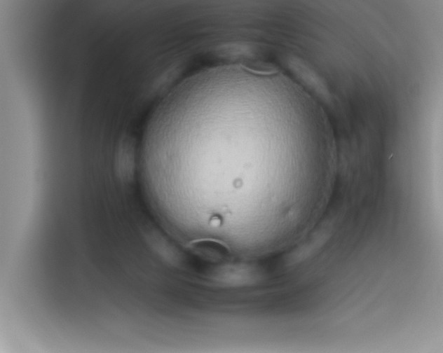 X0000113910065200910011457