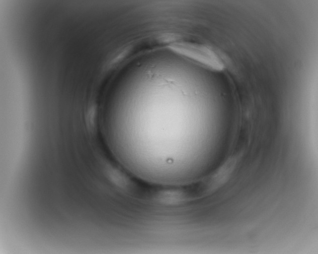 X0000113910066200910011457