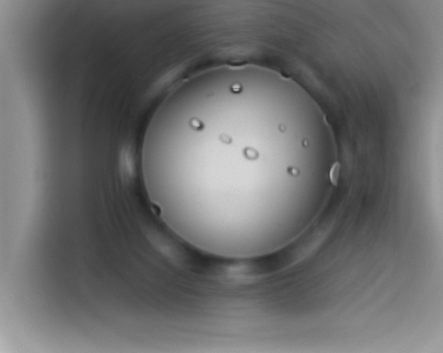 X0000113910068200910011457