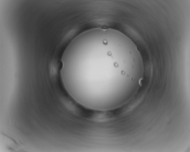 X0000113910072200910011457