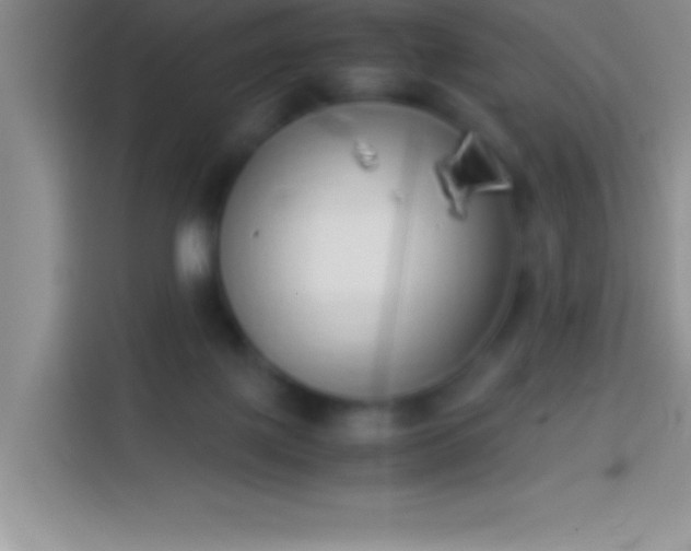 X0000113910075200910011457