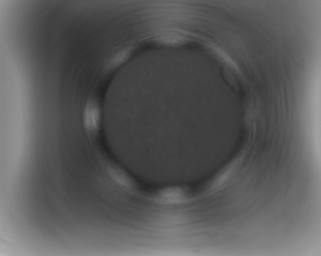 X0000113910076200910011457