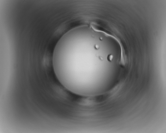 X0000113910078200910011457