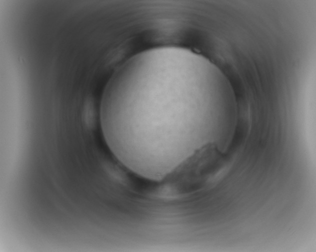 X0000113910080200910011457