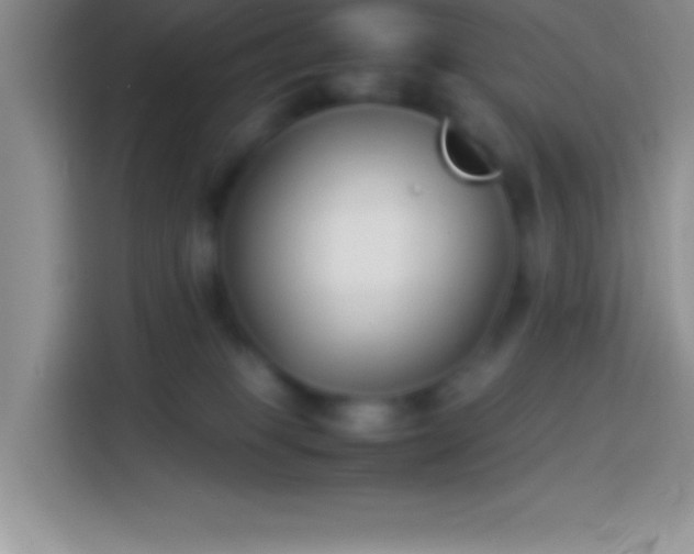 X0000113910085200910011457