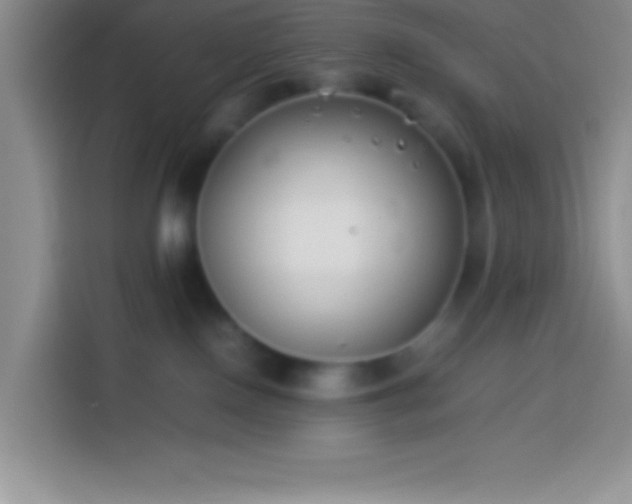 X0000113910090200910011457