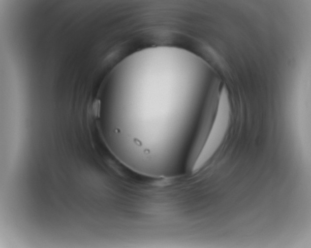 X0000113910092200910011457