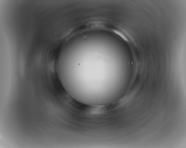 X0000113910093200910011457