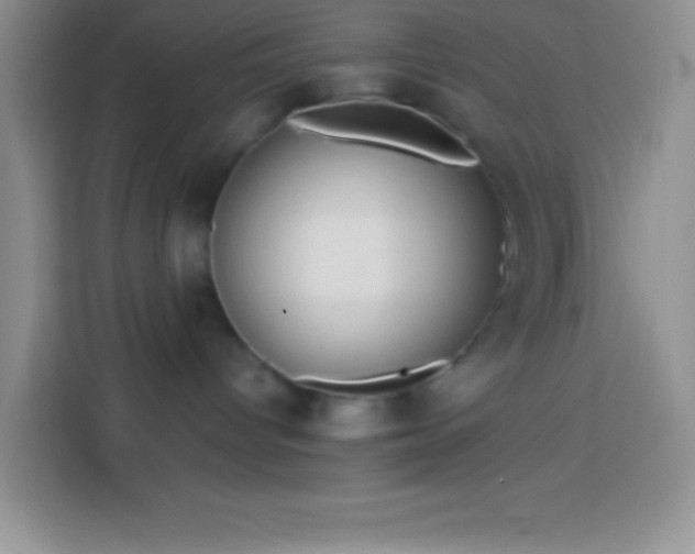 X0000113910096200910011457