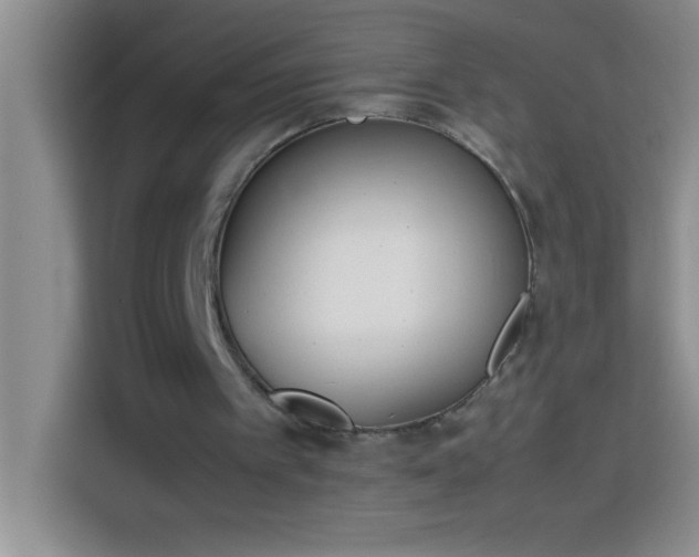 X0000113910097200910011457