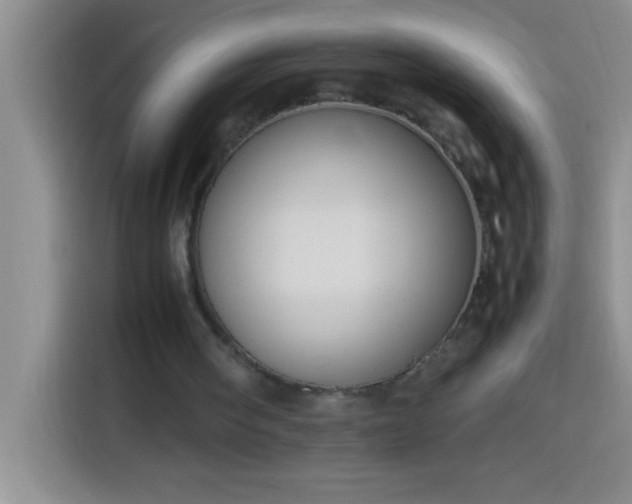 X0000113910098200910011457