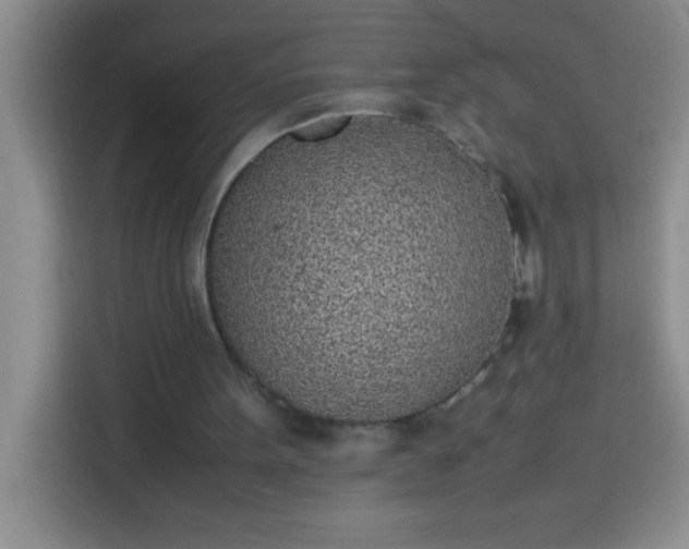 X0000113910099200910011457