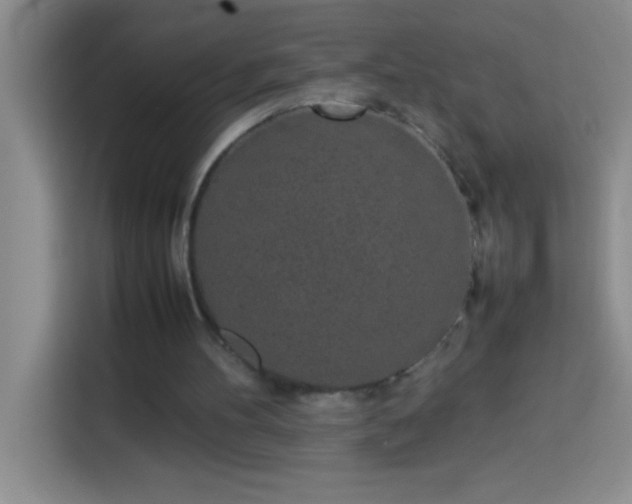 X0000113910100200910011457