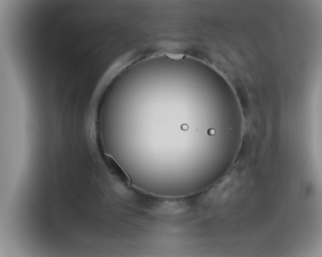 X0000113910101200910011457