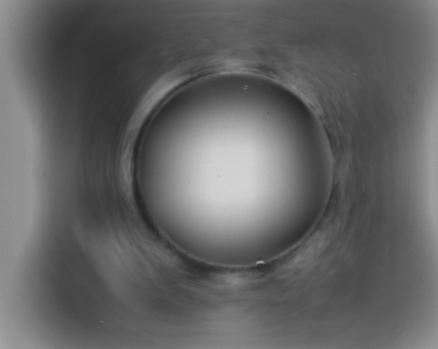 X0000113910103200910011457