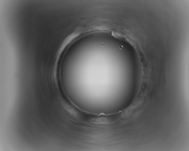 X0000113910104200910011457