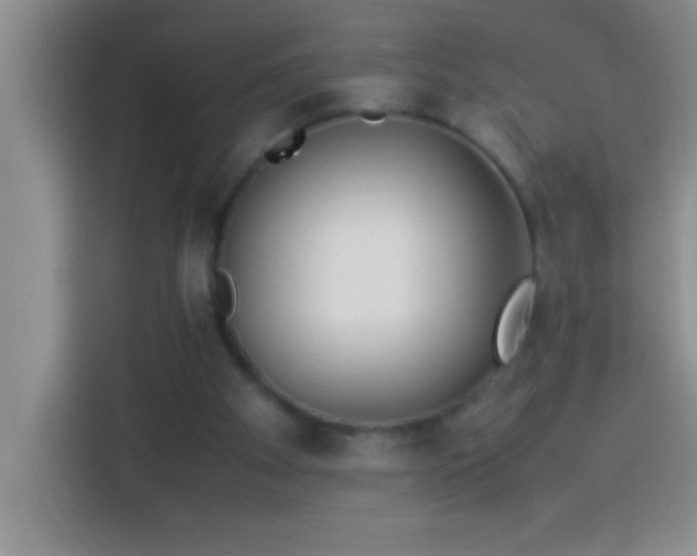 X0000113910105200910011457