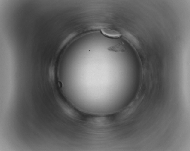 X0000113910108200910011457