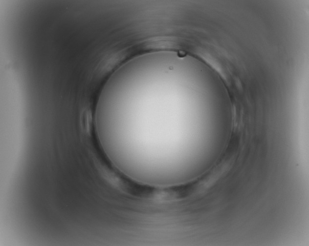 X0000113910109200910011456