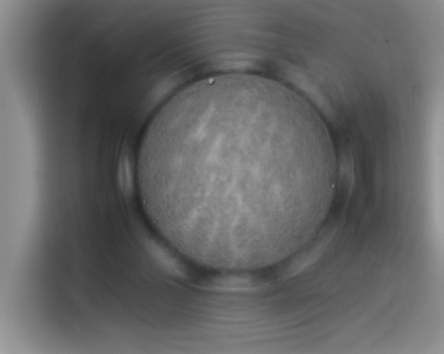 X0000113910110200910011456