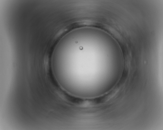 X0000113910111200910011456