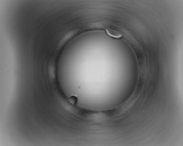 X0000113910112200910011456