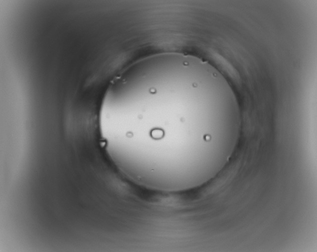 X0000113910113200910011456