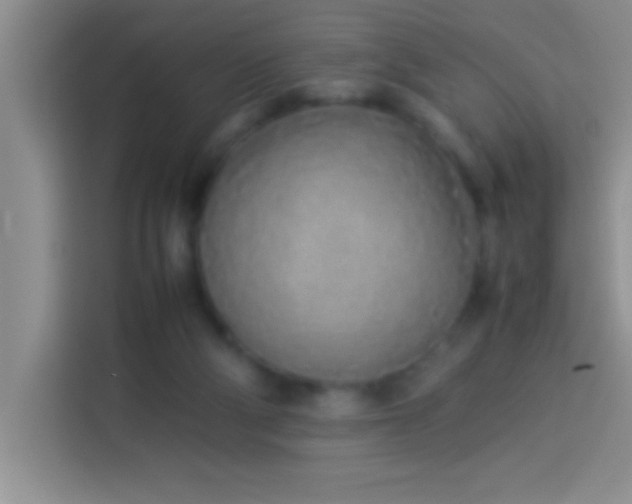 X0000113910114200910011456