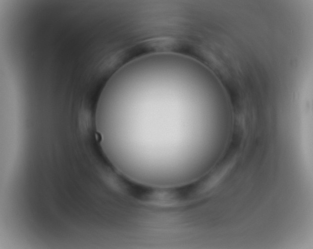 X0000113910117200910011456