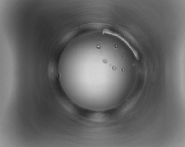 X0000113910119200910011456