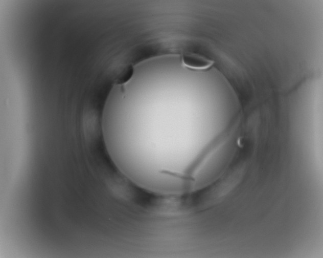 X0000113910121200910011456